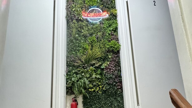 A narrow hallway with a green wall adorned with various plants and a neon sign. - Downtown Home - Close to Topgolf, Ravens Stadium, Orioles Park, UM Baltimore (Baltimore)