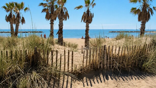 Una playa con palmeras, una valla de madera y el océano al fondo.
