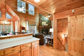 Smart TV, fireplace, video games, books