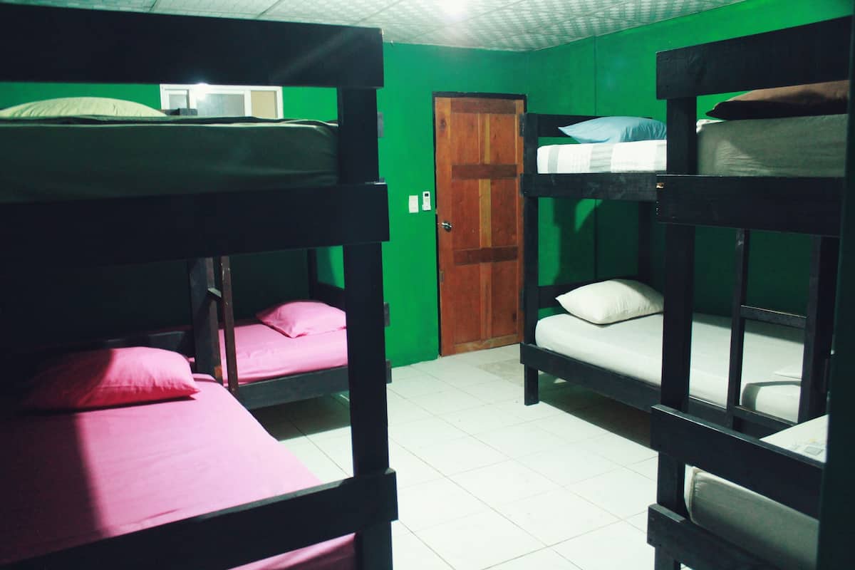 1 bedroom, down comforters, Tempur-Pedic beds, free WiFi