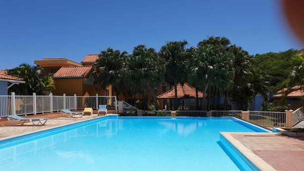 Uma piscina retangular com água azul cristalina, cercada por uma cerca branca, e palmeiras ao fundo.