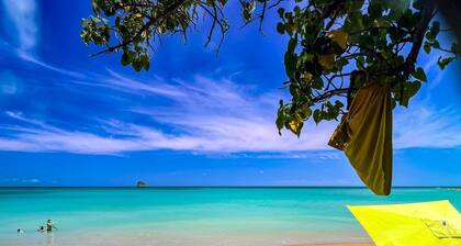 JADEN KREYOL, JADEN KREYOL - GĂźte central, charme tropical