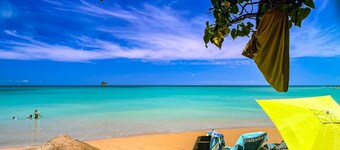 JADEN KREYOL, JADEN KREYOL - Gîte central, charme tropical