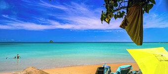 JADEN KREYOL, JADEN KREYOL - Gîte central, charme tropical