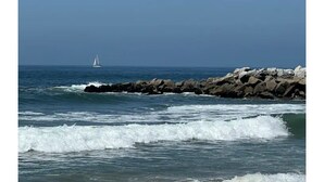A rocky shoreline with waves crashing onto the rocks. - Cute Poolside Unit, 2 Miles from the Beach (Marina del Rey)