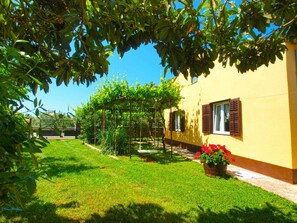 المنطقة المحيطة بالمنشأة