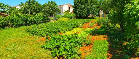 Overnatningsstedets område