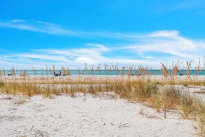 Playa en los alrededores 