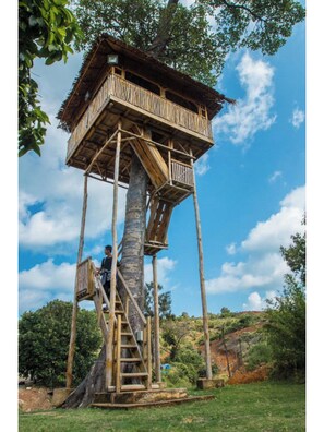 A treehouse with a wooden staircase and a balcony, built around a large tree trunk. - SBS Resort by Zuzu (Galang)