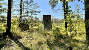 A natural outdoor area with tall trees and a wooden structure with a crescent moon carving. - Off grid solar a-frame cabin Northwoods Farm Stay Hundreds of Acres to Explore (Prentice)