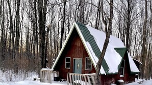 A cabin with a green roof, surrounded by snow-covered ground and trees. - Off grid solar a-frame cabin Northwoods Farm Stay Hundreds of Acres to Explore (Prentice)