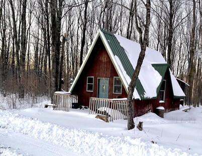 Off grid solar a-frame cabin Northwoods Farm Stay Hundreds of Acres to Explore
