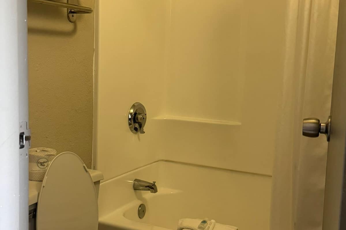 room, 1 king bed, non smoking | bathroom | combined shower/bathtub, free toiletries, towels