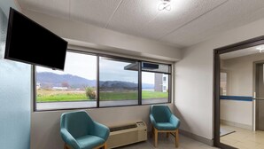 A room with two teal chairs, a flat-screen TV mounted on the wall, and a large window offering a view of a green landscape and mountains.