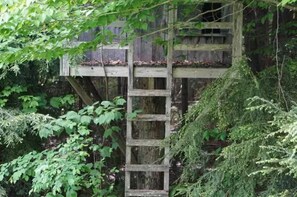 Property grounds - Beautiful private wooded cabin minutes from Mt. Snow & Stratton w/ Tesla charger (Stratton)