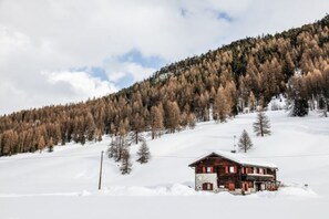 Exterior - “Appartamento Legnameir Bait da Rez” with Balconies & Wi-Fi (Livigno)