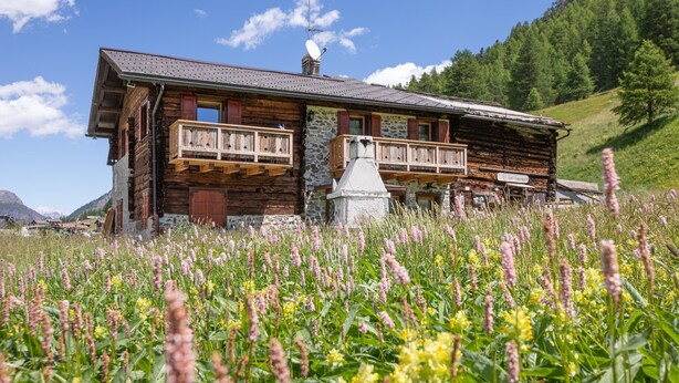 A rustic wooden cabin with balconies, surrounded by a field of wildflowers. - “Appartamento Legnameir Bait da Rez” with Balconies & Wi-Fi (Livigno)