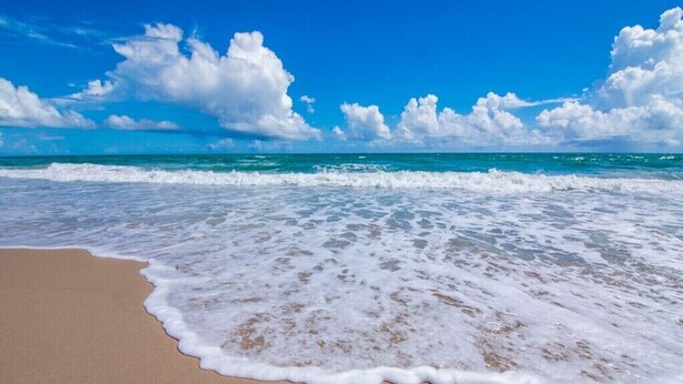 Une plage où les vagues viennent doucement lécher le rivage sous un ciel bleu et dégagé.