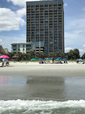 Playa en los alrededores y camastros 