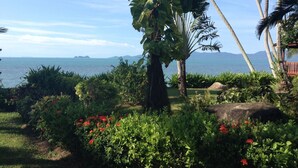 A tropical garden with a view of the sea and mountains in the distance.