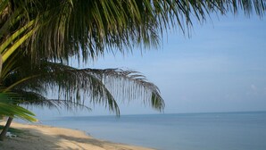 A beach with a palm tree, clear sky, and calm sea.
