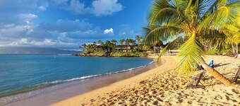 NEW LUXURY REMODEL W/POOL | Panoramic Ocean Views!