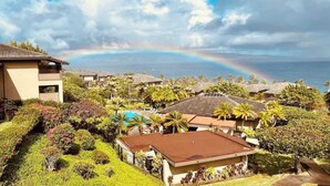 A residential area with houses, a swimming pool, and a view of the ocean with a rainbow.
