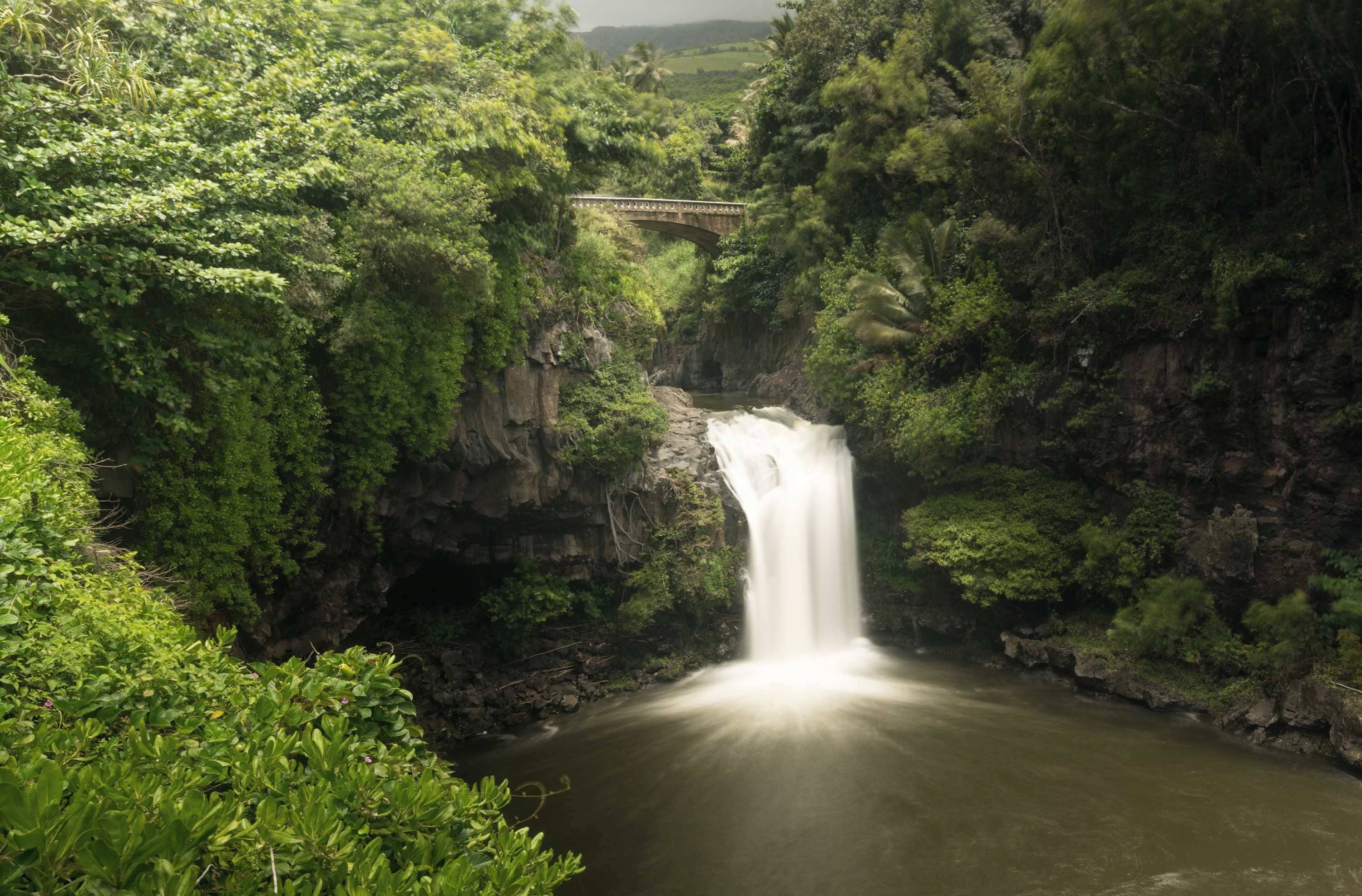 Une cascade entourée d’une végétation luxuriante, avec un pont en arrière-plan.