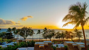 A resort with multiple bungalow-style buildings, a beach, and palm trees.