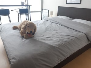 1 bedroom, internet