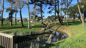 Ein Park mit einem kleinen Bach, Bäumen und einem Holzzaun.