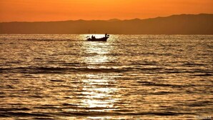 รูปภาพที่ไม่ได้จัดประเภท, 5 จาก 32, ปุ่ม