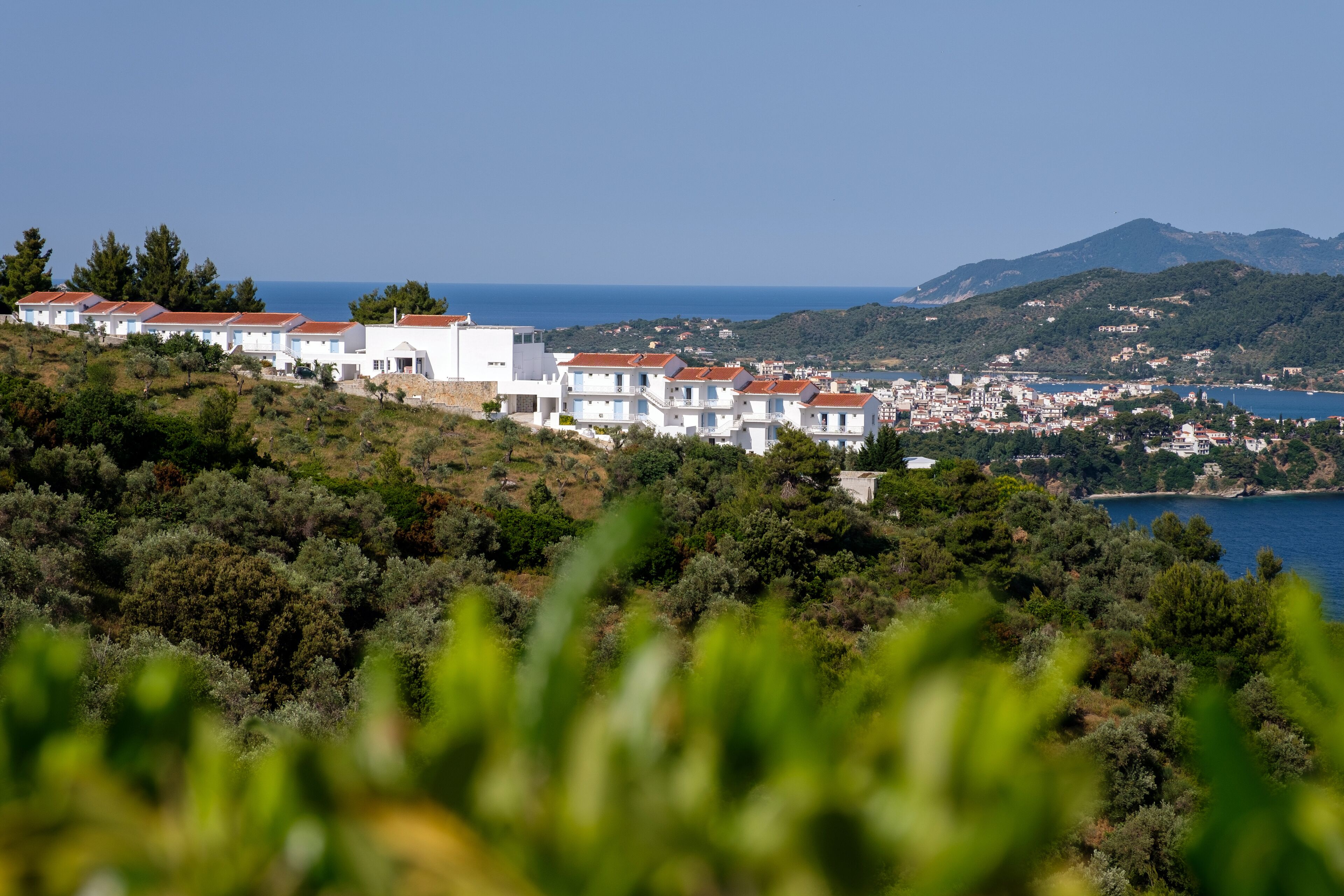 واجهة المنشأة