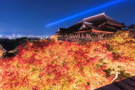 OMO5 Kyoto Sanjo by Hoshino Resorts - Image 1