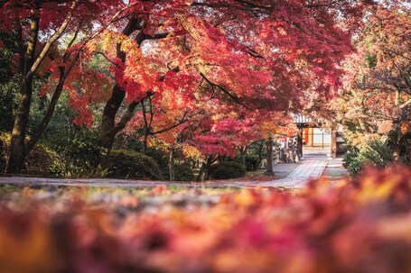 OMO5 Kyoto Sanjo by Hoshino Resorts - Image 22