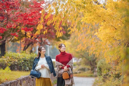 OMO5 Kyoto Sanjo by Hoshino Resorts - Image 26