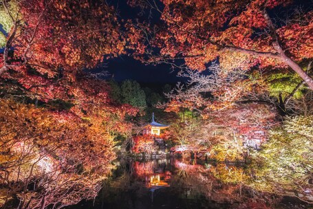 OMO5 Kyoto Sanjo by Hoshino Resorts - Image 19