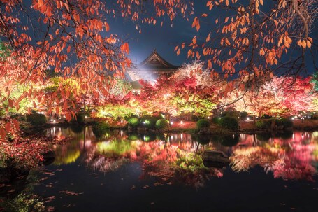 OMO5 Kyoto Sanjo by Hoshino Resorts - Image 9
