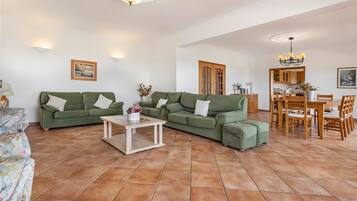TV, fireplace, DVD player