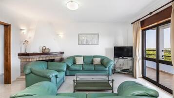 TV, fireplace, DVD player