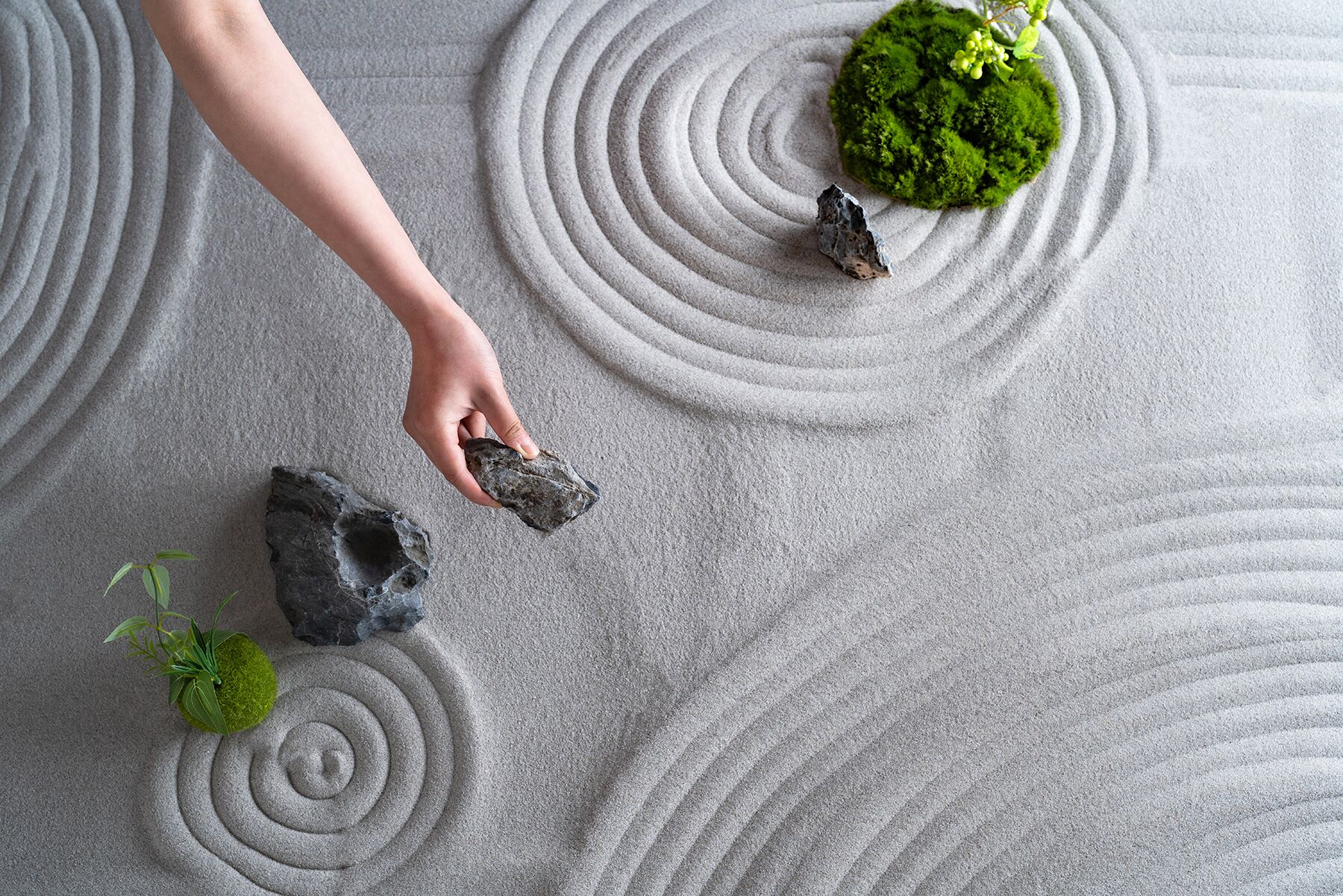 A hand placing a rock on a raked sand surface with moss and small plants.