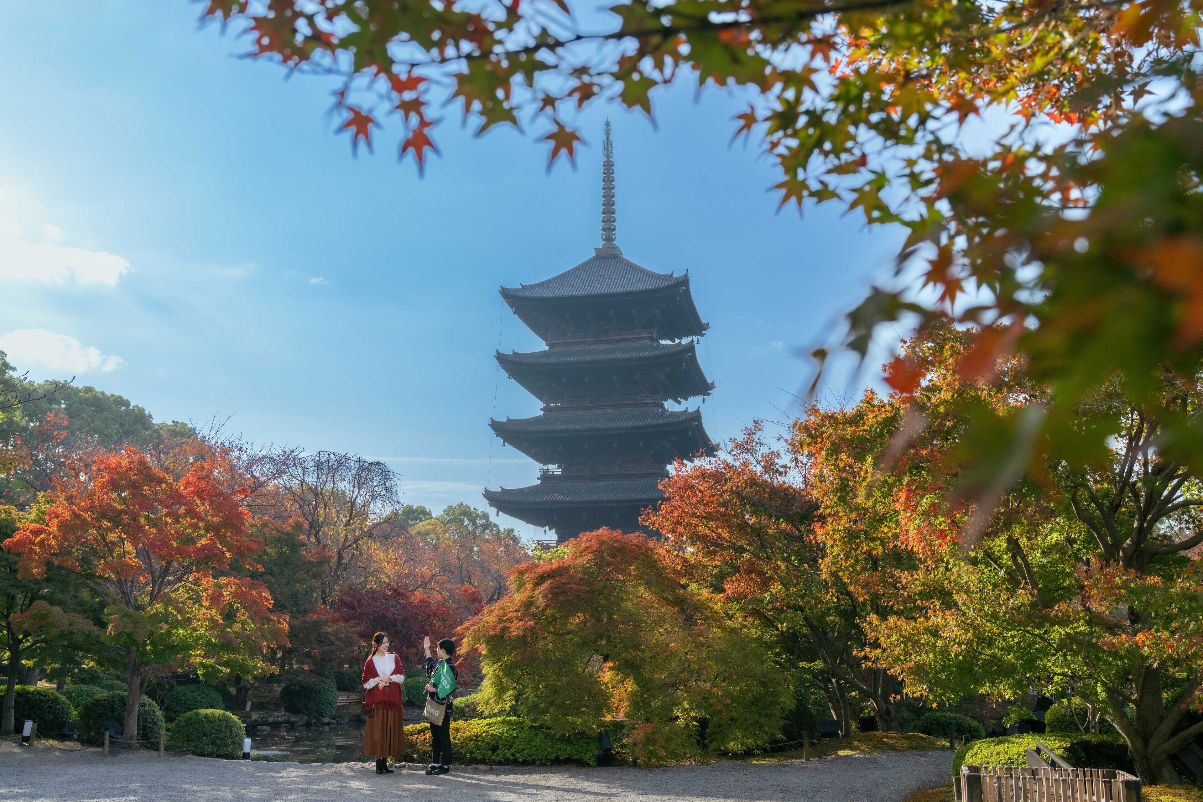 Foto - OMO3 Kyoto Toji by Hoshino Resorts