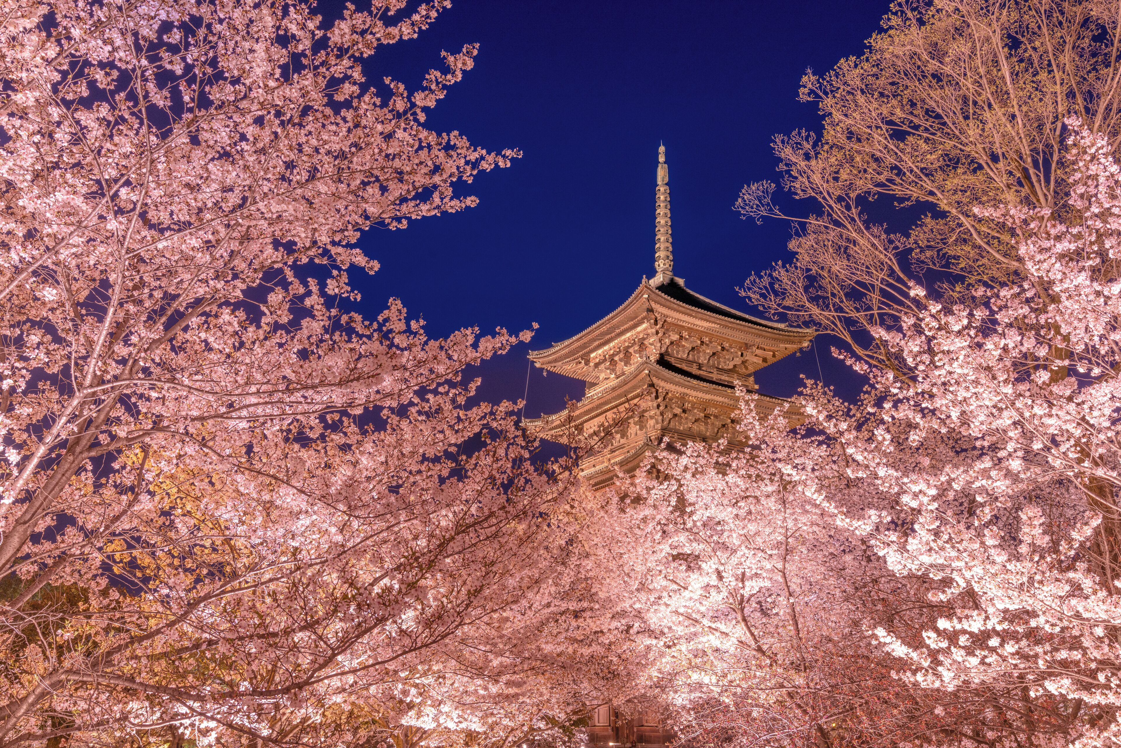 Foto - OMO3 Kyoto Toji by Hoshino Resorts