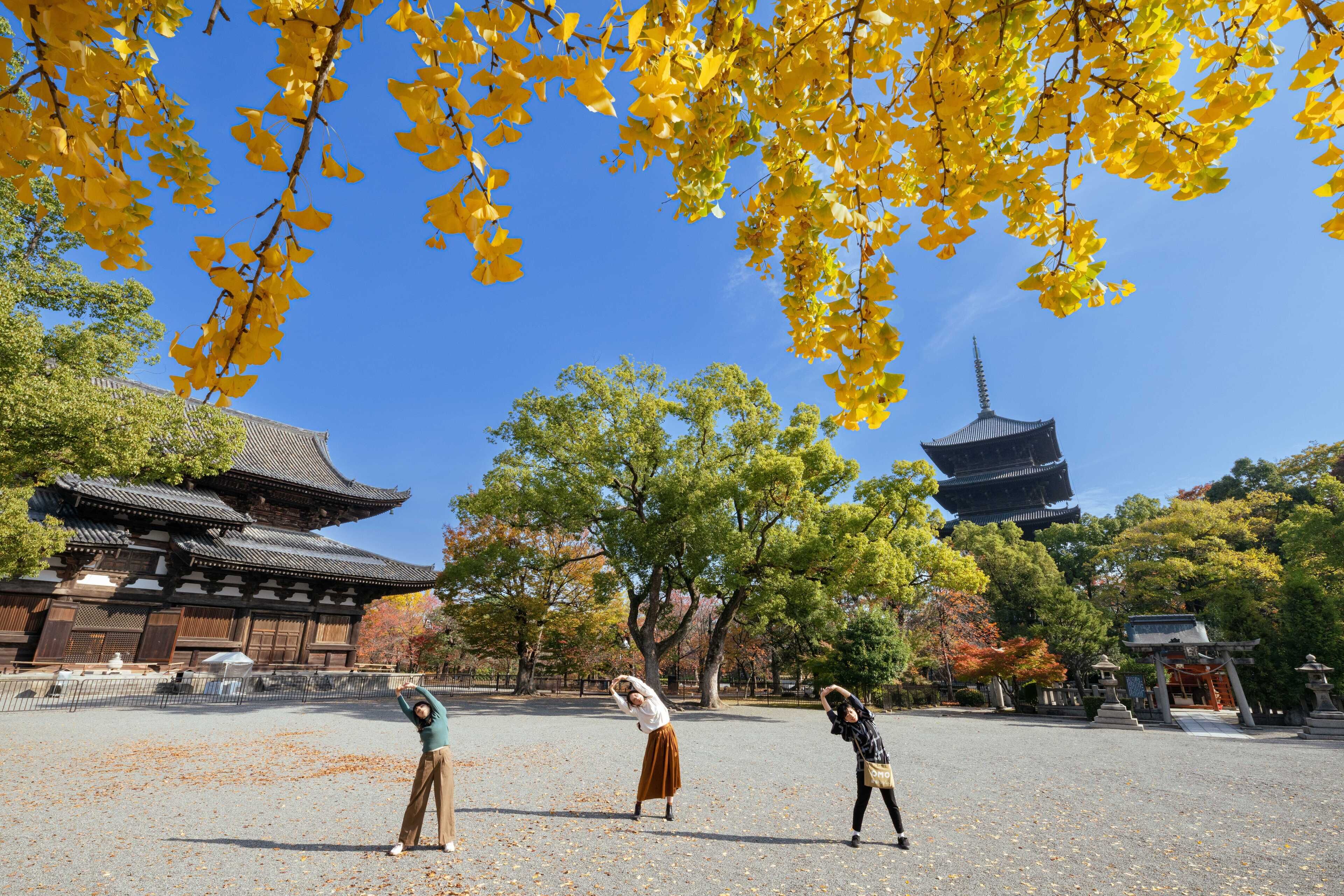 Foto - OMO3 Kyoto Toji by Hoshino Resorts