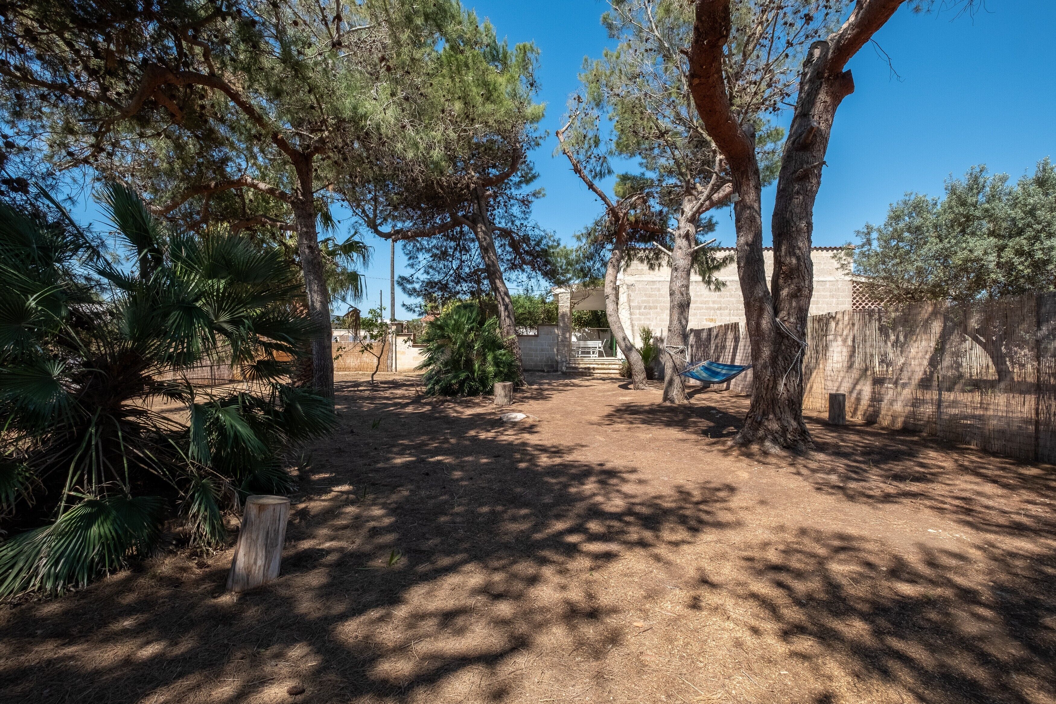 A backyard with trees, a hammock, and a stone wall.