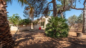 A courtyard with a palm tree, a red chair, and a stone wall. - Villa "Edy" near the Beach with Terrace & Garden (San Pietro in Bevagna)