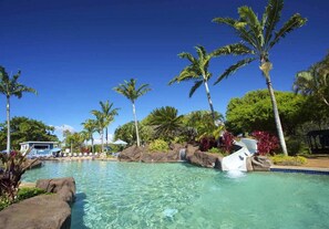 Relax by the pool surrounded by palm trees and a small waterfall.