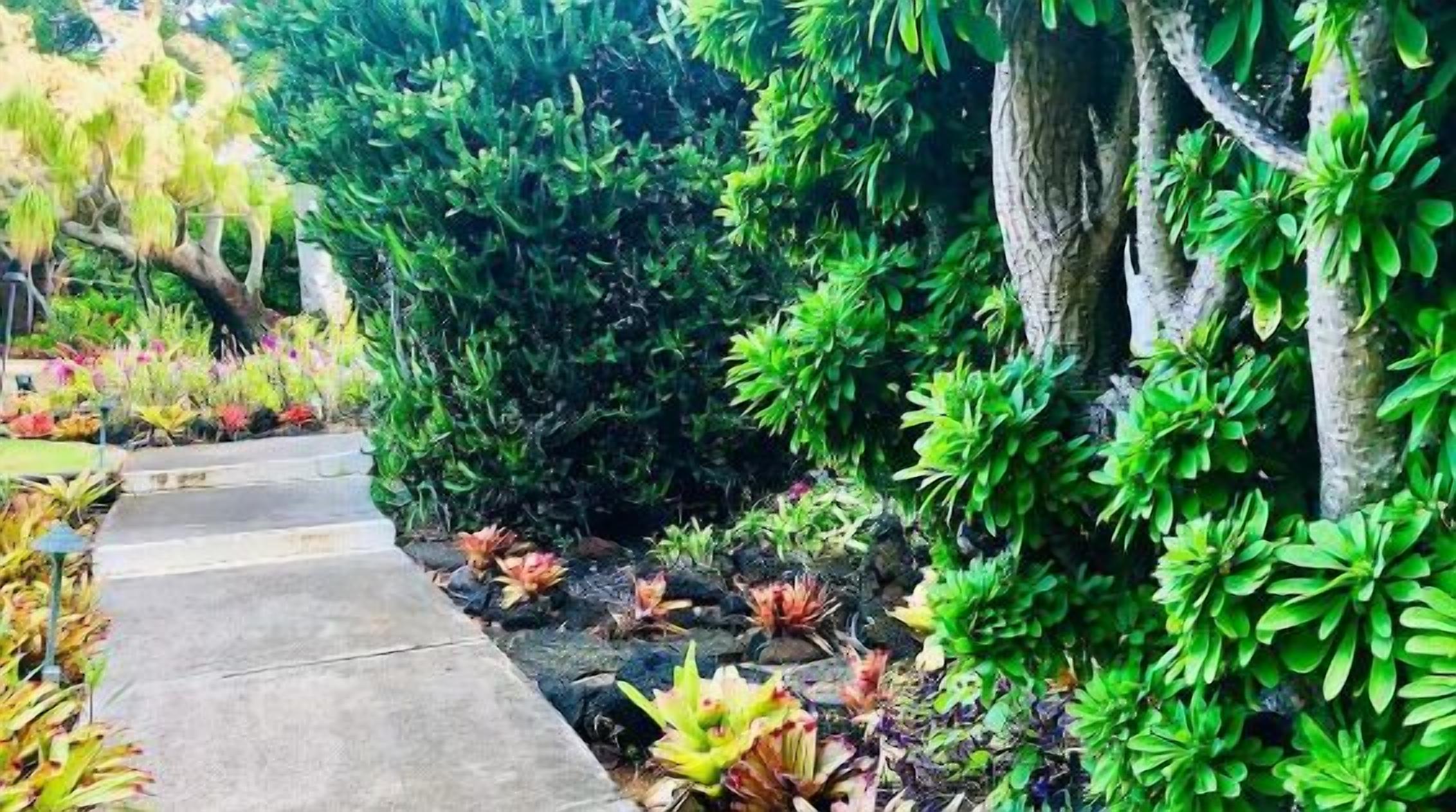 Jardines del alojamiento