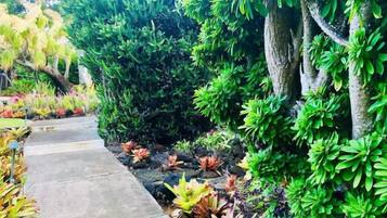 Jardines del alojamiento