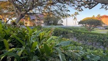 A lush garden with dense foliage and a building in the background.